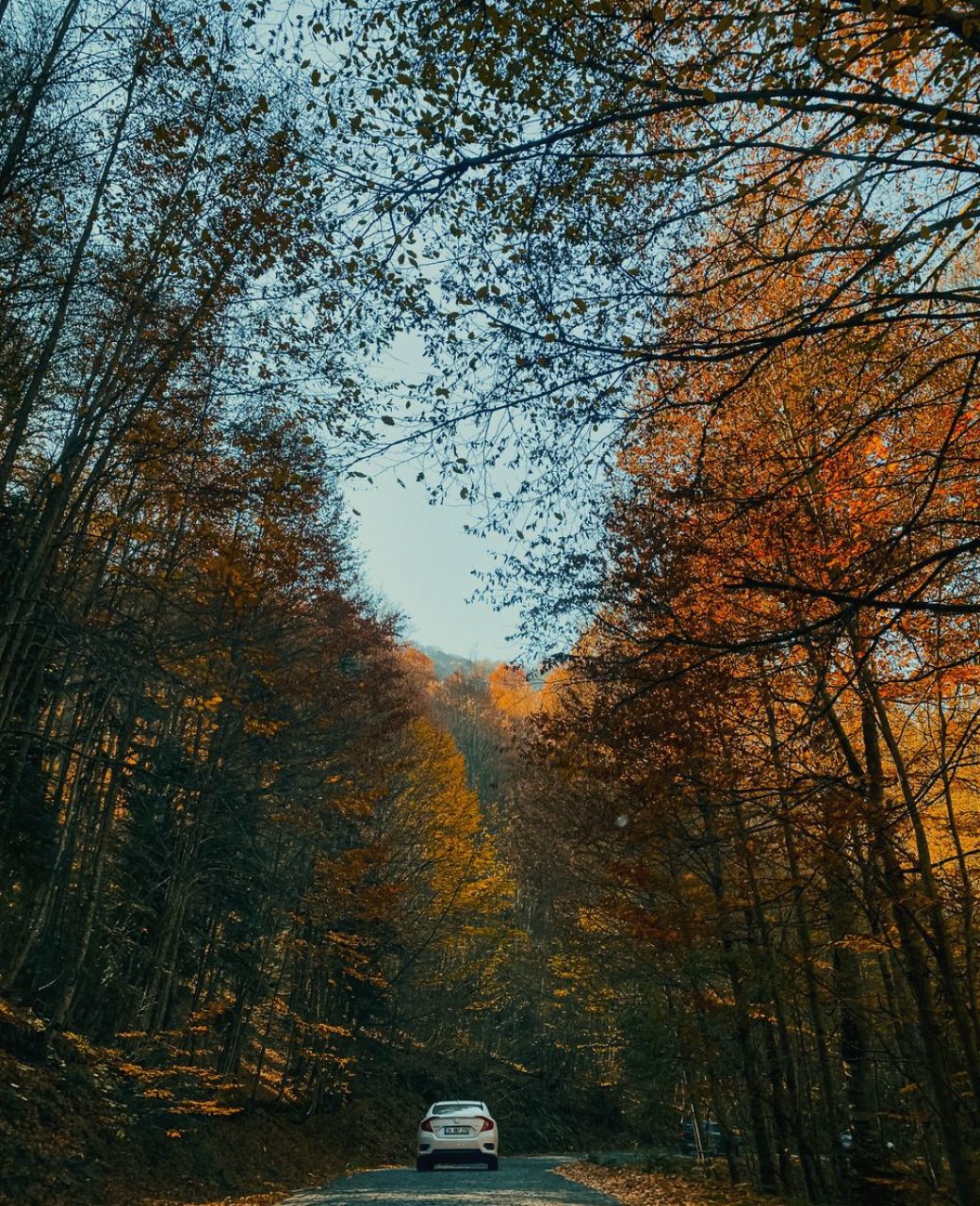 Kako je Dario počeo štedjeti slušajući uvod u ulaganje